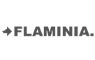 logo-flaminia
